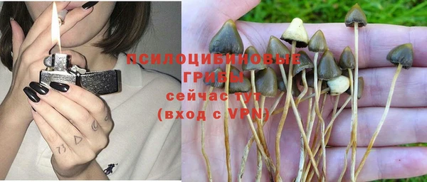 мяу мяу мука Абаза