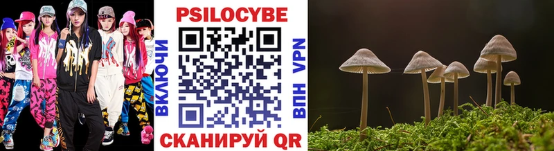 Галлюциногенные грибы мицелий  Куртамыш 